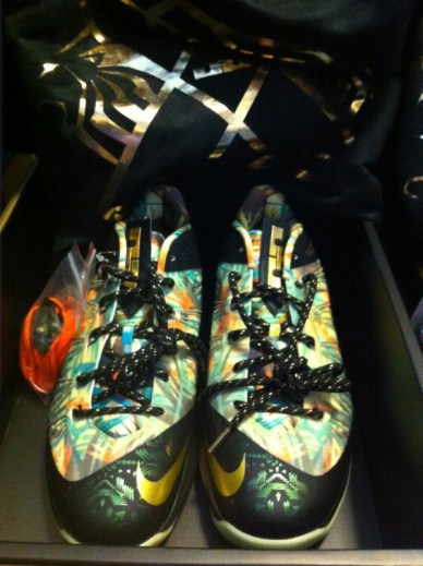 nike-lebron-x-championship-pack-packaging-07