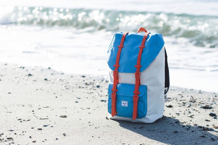 kevin-butler-of-rad-cars-with-rad-surfboards-x-herschel-supply-co-11