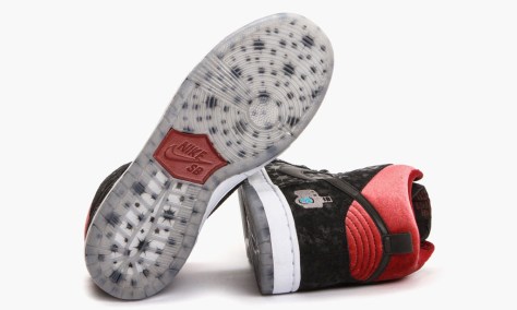 brooklyn-projects-nike-sb-dunk-high-paparazzi-05