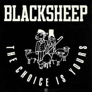 sheep.jpg