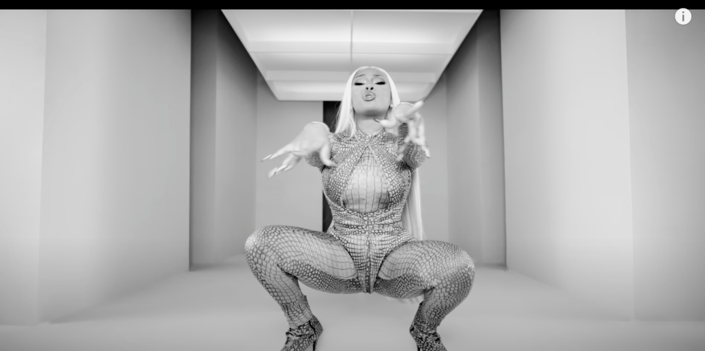 NEW VISUALS: MEGAN THEE STALLION “HER”